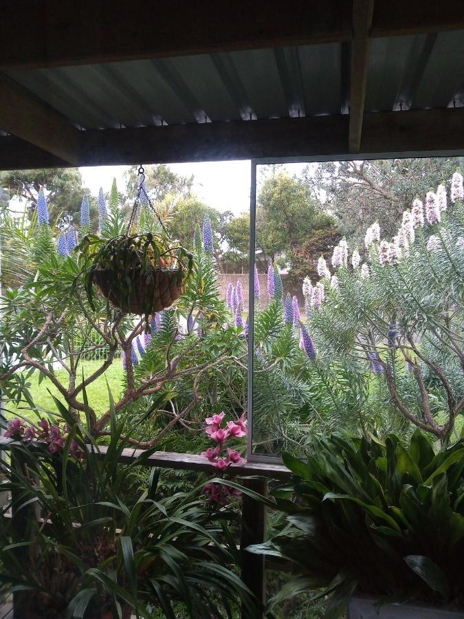 Lakes Entrance Waterfront Cottages With King Beds Kültér fotó