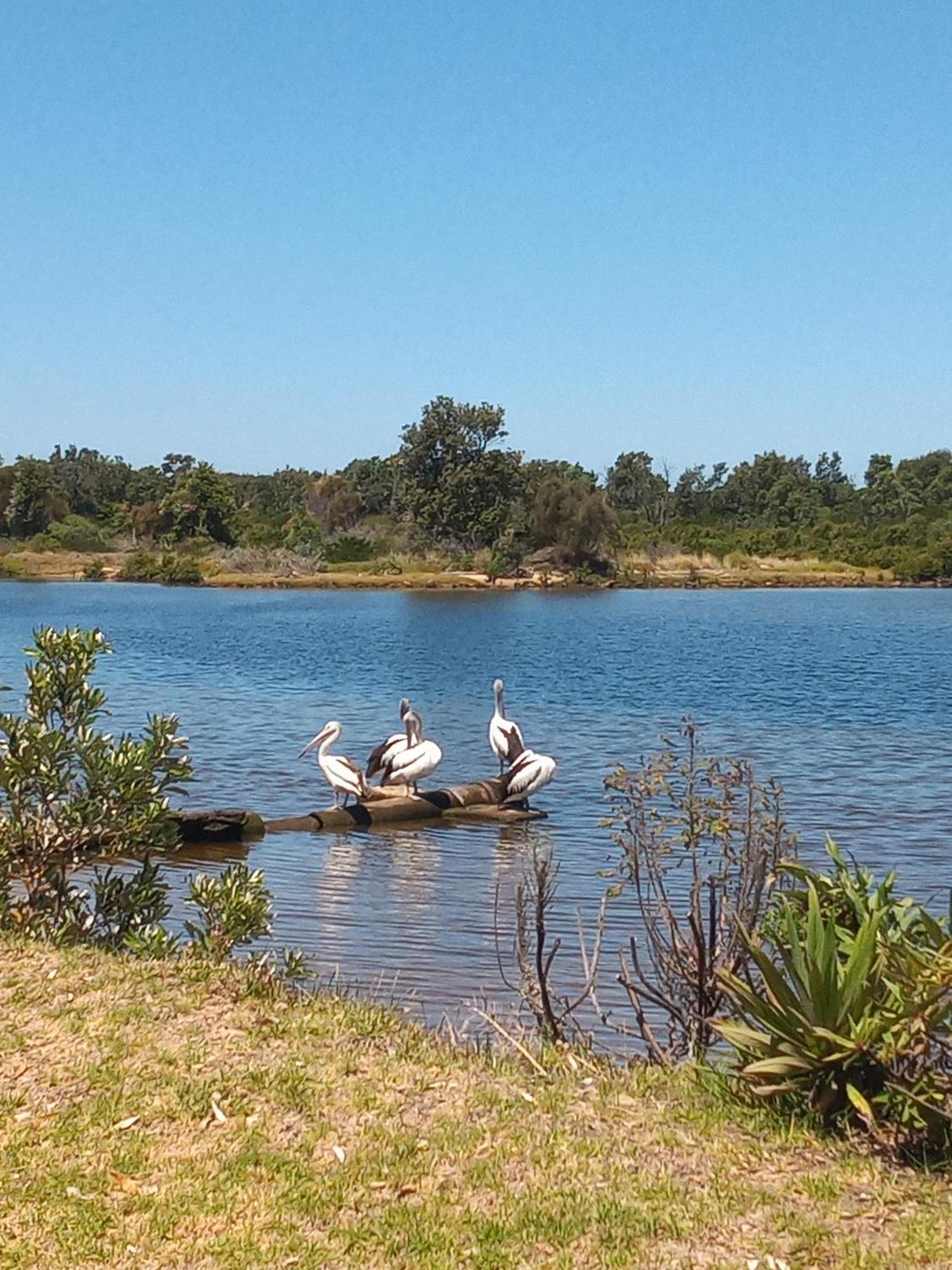 Lakes Entrance Waterfront Cottages With King Beds Kültér fotó
