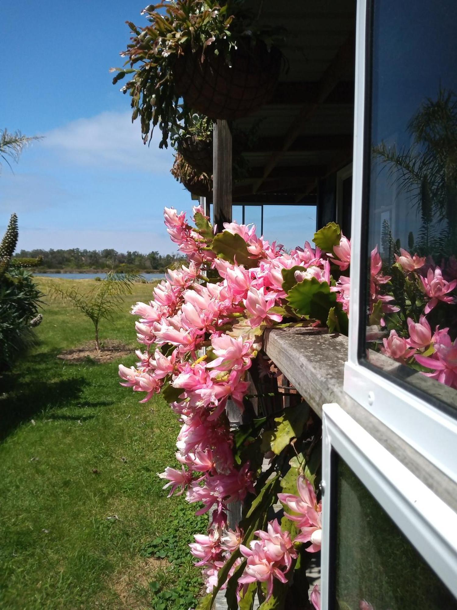 Lakes Entrance Waterfront Cottages With King Beds Kültér fotó