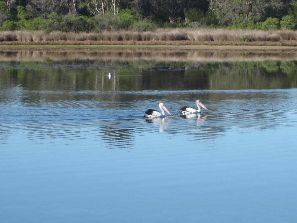 Lakes Entrance Waterfront Cottages With King Beds Kültér fotó
